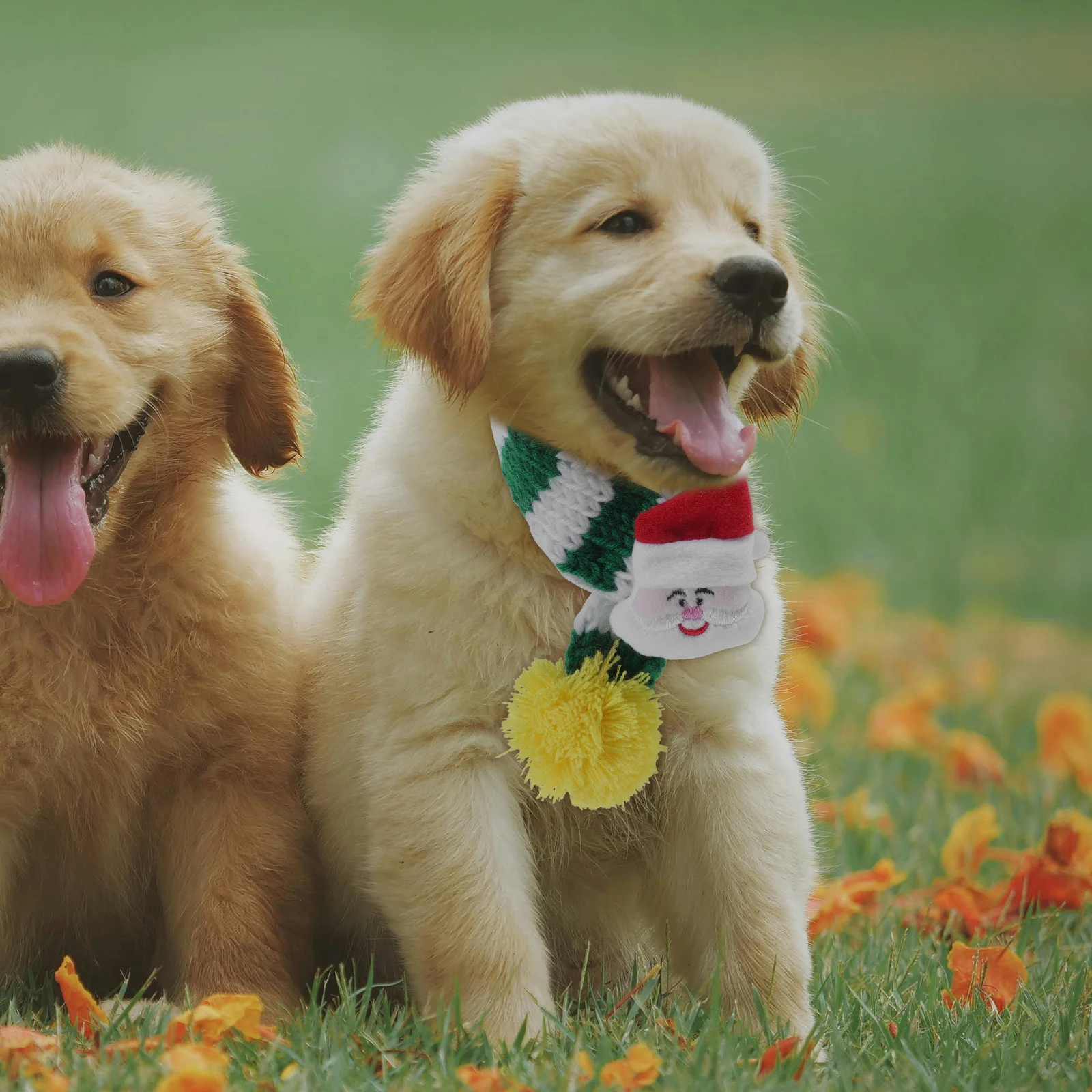 

Xmas Themed Pet Dogs Cats Christmas Pet Accessories Warm Knitted Puppy Small Dog Festive Holiday Decoration Cozy For Cat Dog