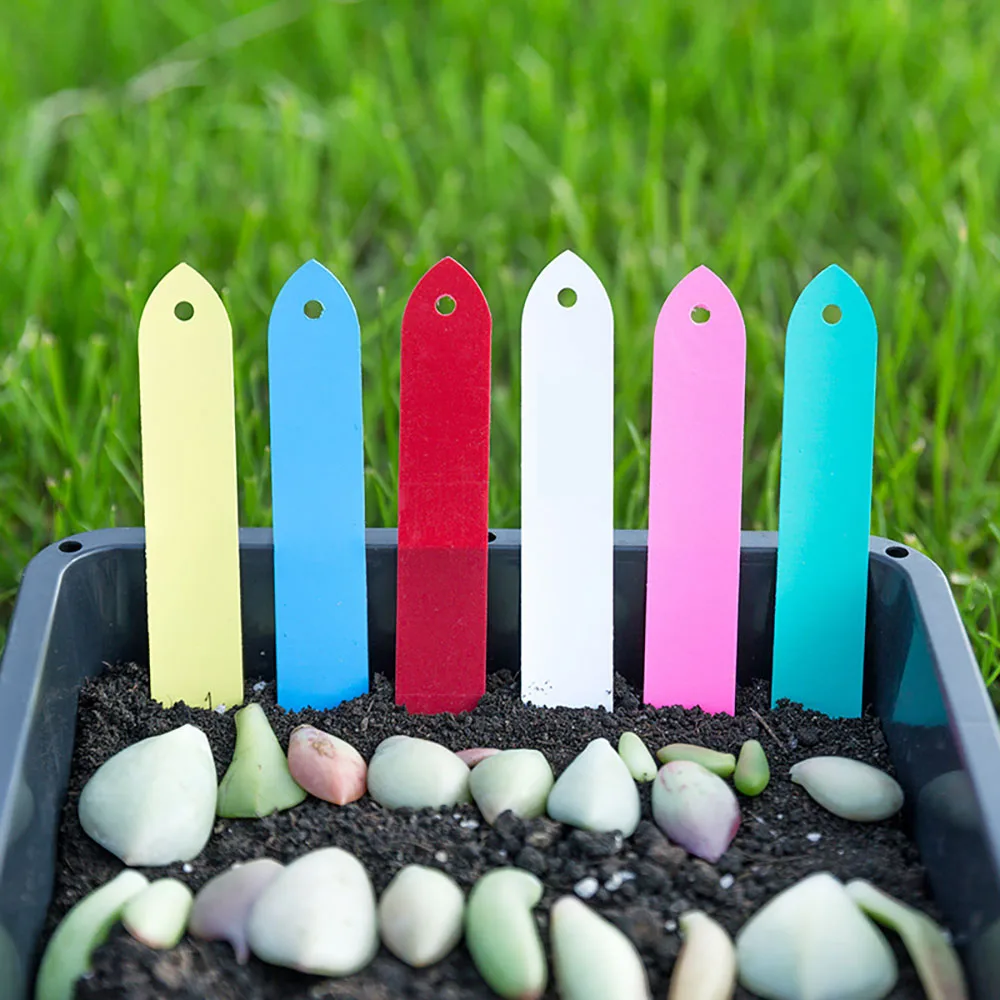 100-300PCS Reusable Garden Plant Nursery Hang Tag Plastic Identification Card Waterproof Ring Sign Vegetables Labels Markers Too