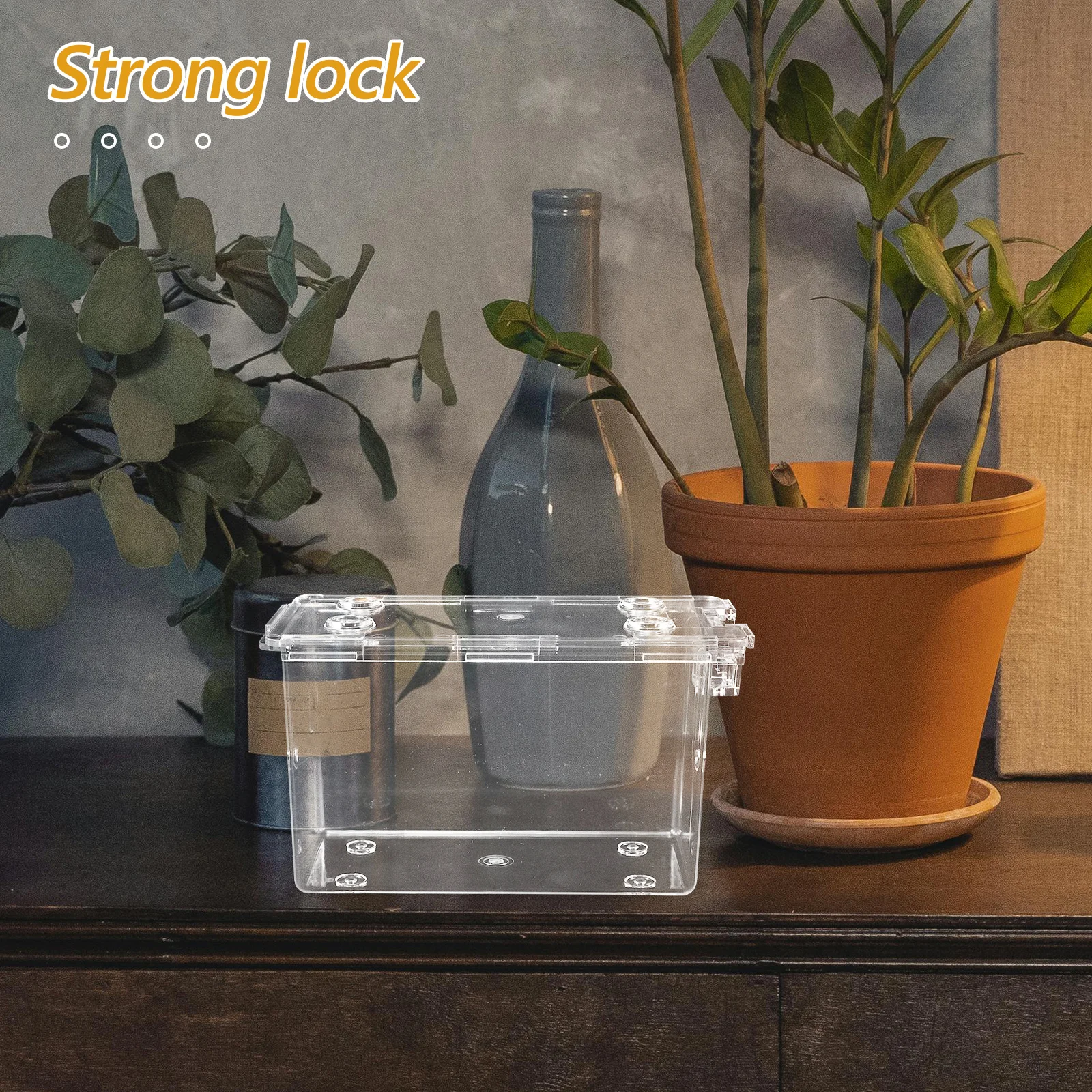 

Plastic Lock Clear For Trading Cards Portable Organizer Case Holder Box Playing Storage Baseball Card Organizer