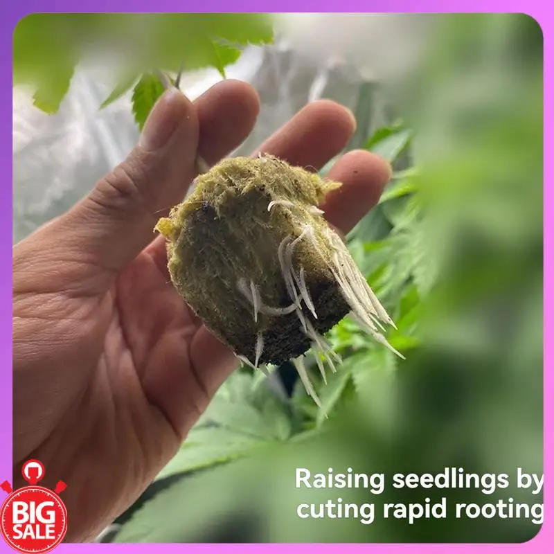 صفقة كبيرة زراعة المائية كتلة متوسطة كتلة النبات مصفوفة بدون تربة البذر الصخور الصوف التوصيل صينية زراعة كتلة الشتلات