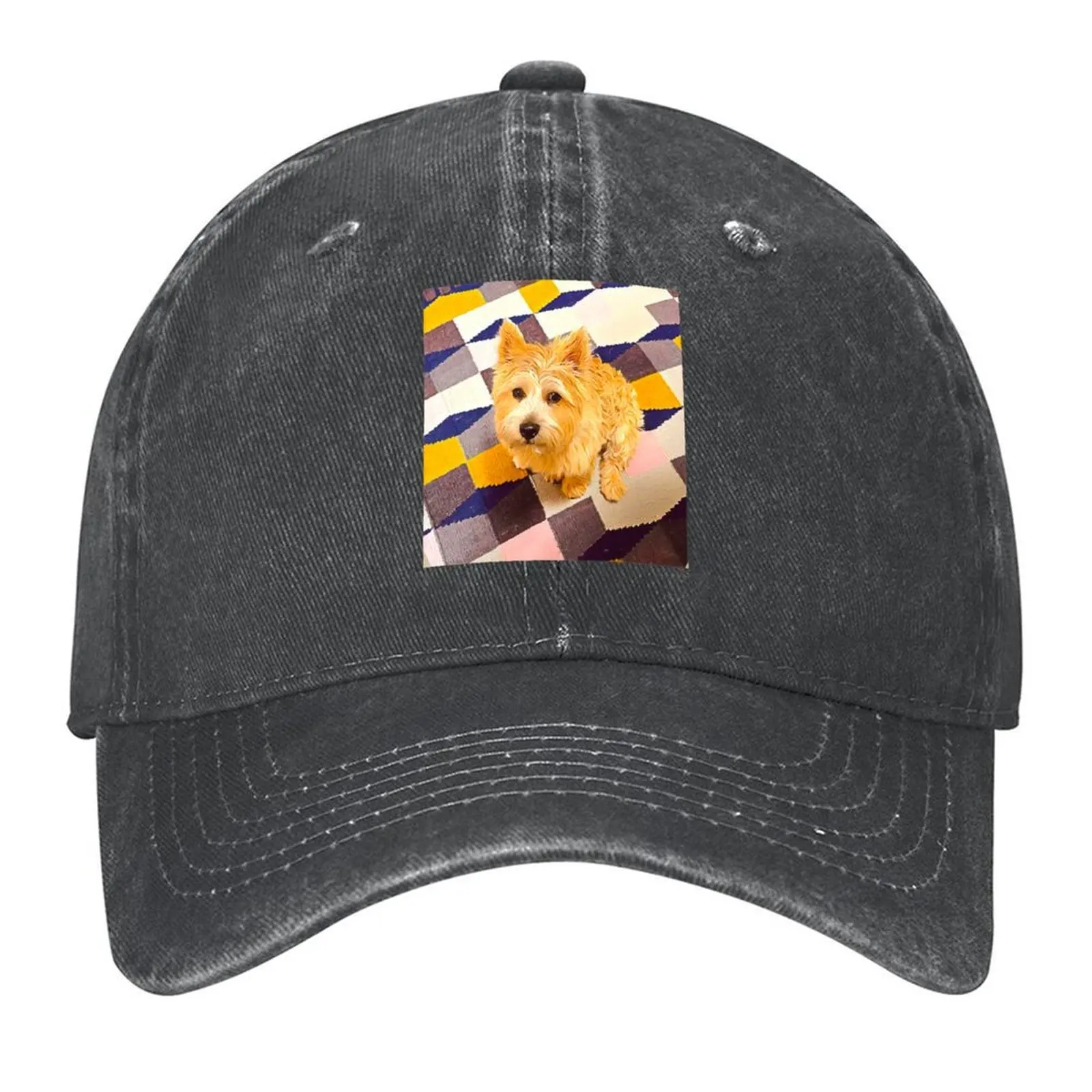 

Norwich Terrier Puppy Dog Baseball Cap luxury woman cap Brand Man cap Golf Hat Man Fishing Hats For Men Women's