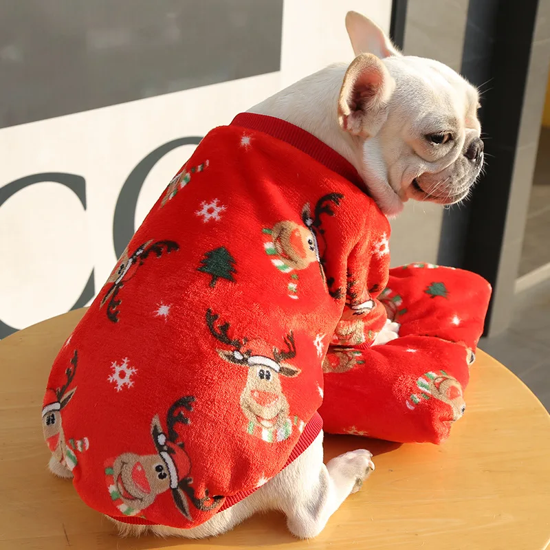 Ensemble Hanbok en velours léopard pour chiens, vêtements pour chiens, pull Haki, travail pour chiens moyens et petits, chiot chaud, Corée du Sud,