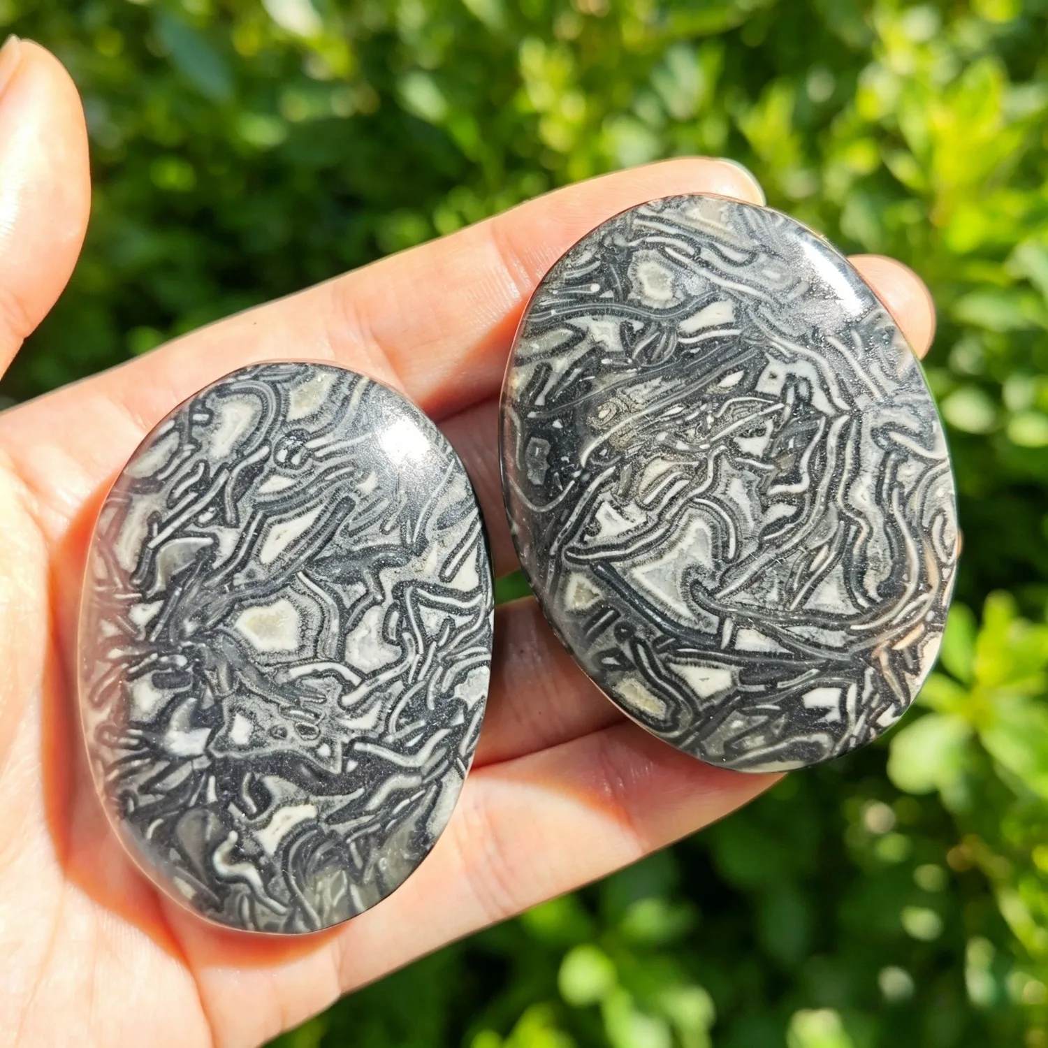 Natural Black Crazy Agate Palm Stone, Natural Polished Worry Stone, Healing Crystal Mineral, Home Decor Meditation Ornament Gift