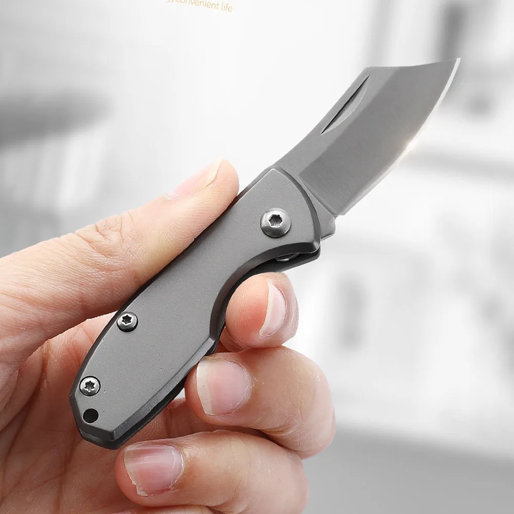 Mini Folding Camping Knife EDC Keychain Small Pocket Knife For Men Cheap Stainless Steel Sharp Tiny Cutting Knives Self Defense