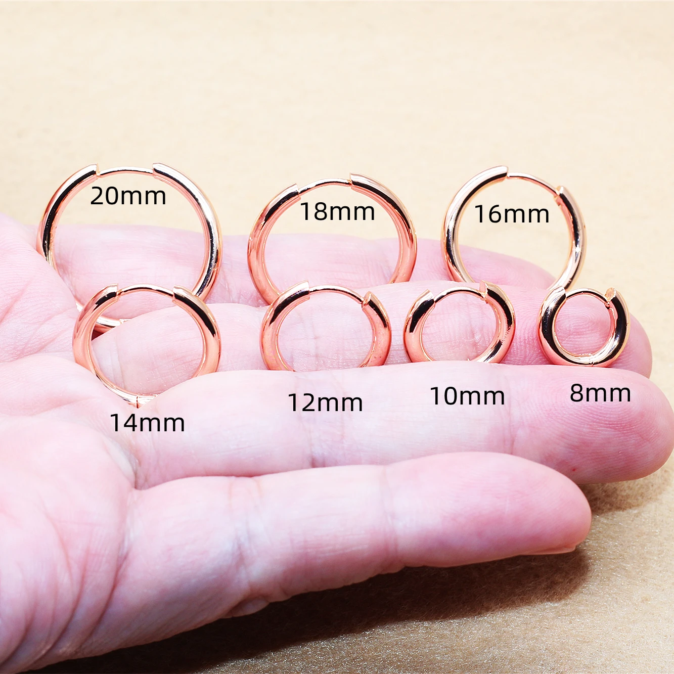 BTG02 Titanium Men Women Hoop Earrings Rose Gold Color Circle 2.5mm 316l Stainless Steel Earring IP Plating No Fade Allergy Free