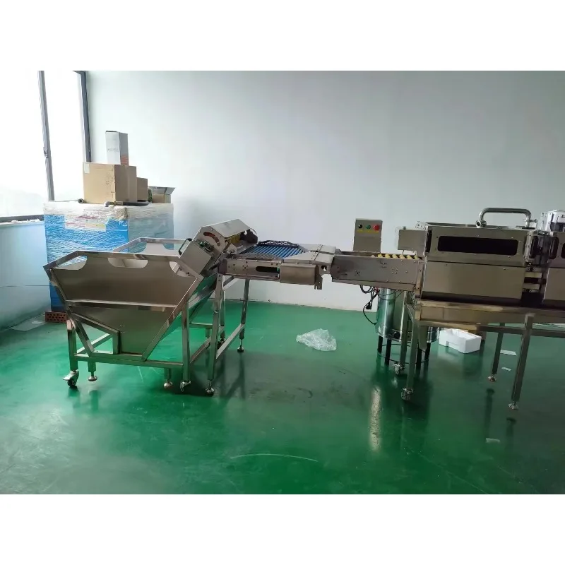 Fully Automatic Egg Washer with Washing and Drying Function, Custom Commercial Egg Processing Machinery
