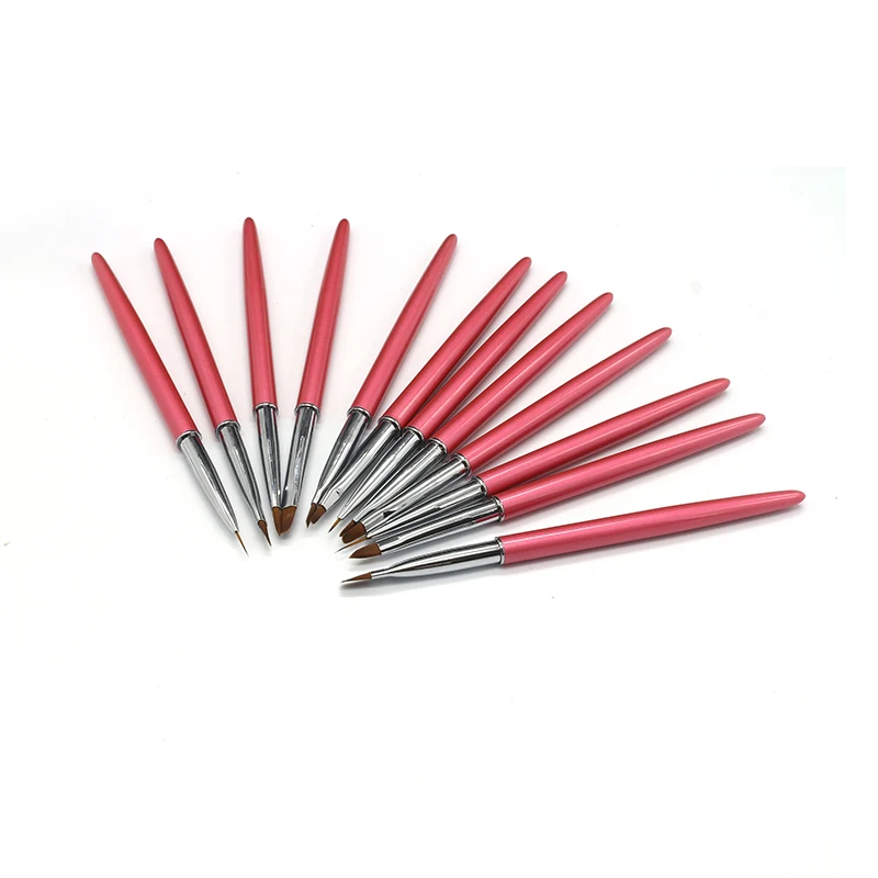 Penna per pittura per unghie 12 set di nylon acrilico per spazzolare artistico con manico in metallo