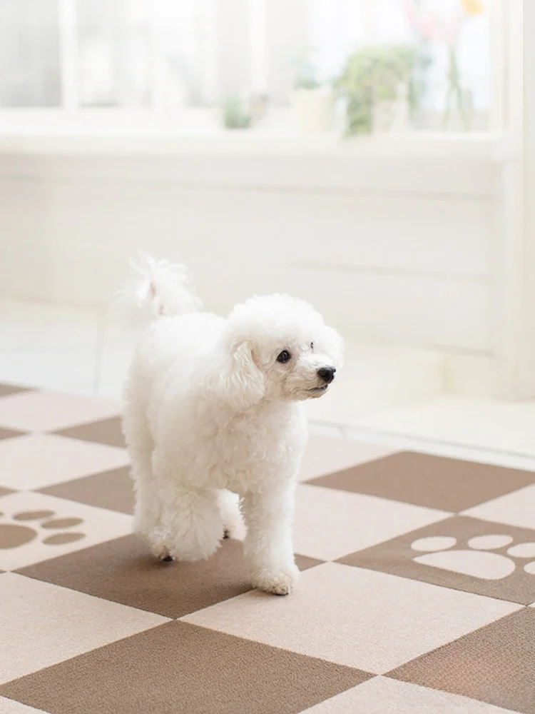 

Водонепроницаемый коврик для животных, не пропускающий мочу, для клеток, нескользящий, бесшумный, с возможностью соединения, для дома, гостиной, тканый коврик-подкладка