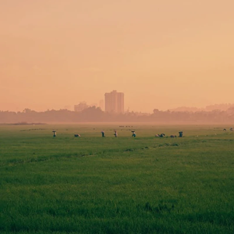 

Базовая плата Holybro Pixhawk RPi CM4, совместимая с модулями полетных контроллеров Pixhawk 5X и 6X PM03D, для запчастей радиоуправляемых FPV дронов