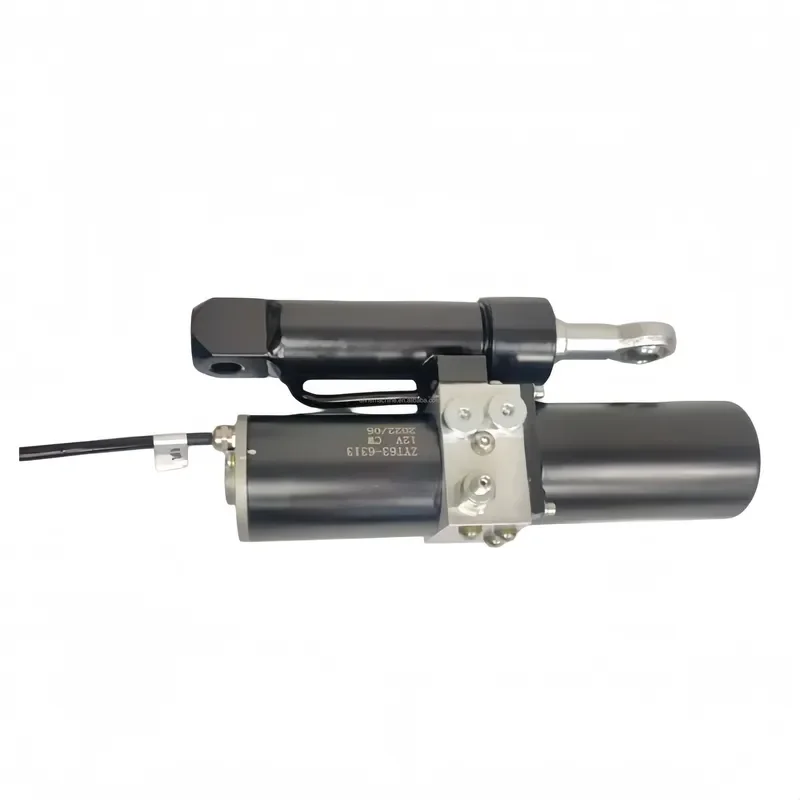 12V 24V 48V DC Electric Lift Door Pusher Electric Hydraulic Push Rod