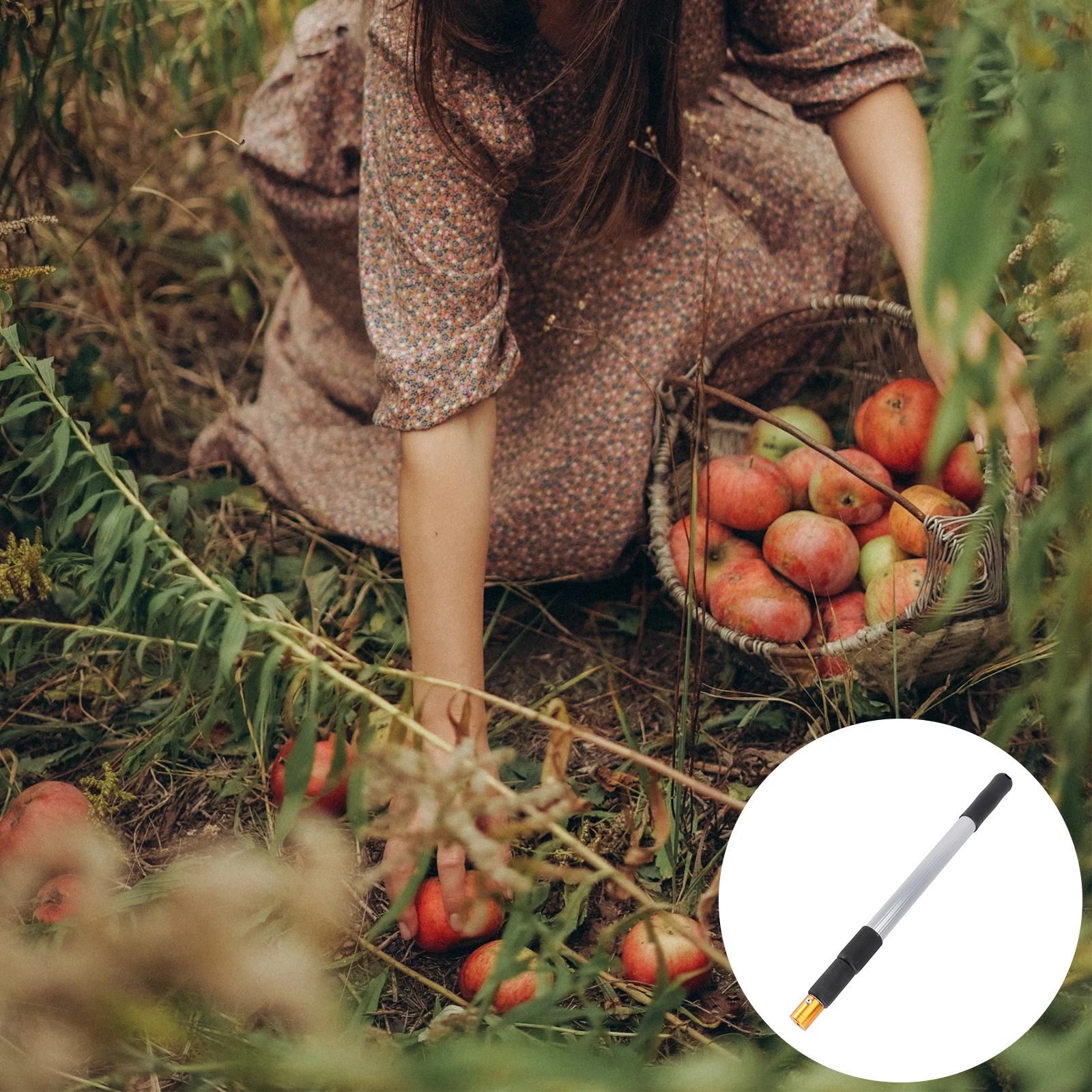 

1Pcs Telescopic Nut Gatherer Silver Aluminum Alloy Rod Roller Brush Easy Use Fruit Collector Portable Walnuts Harvester Home