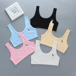 Lace Cotton Young Girls Training Bra Kids Vest Teens Teenage Underwear Children Bras for 8 9 10 11 12 13 14 years old