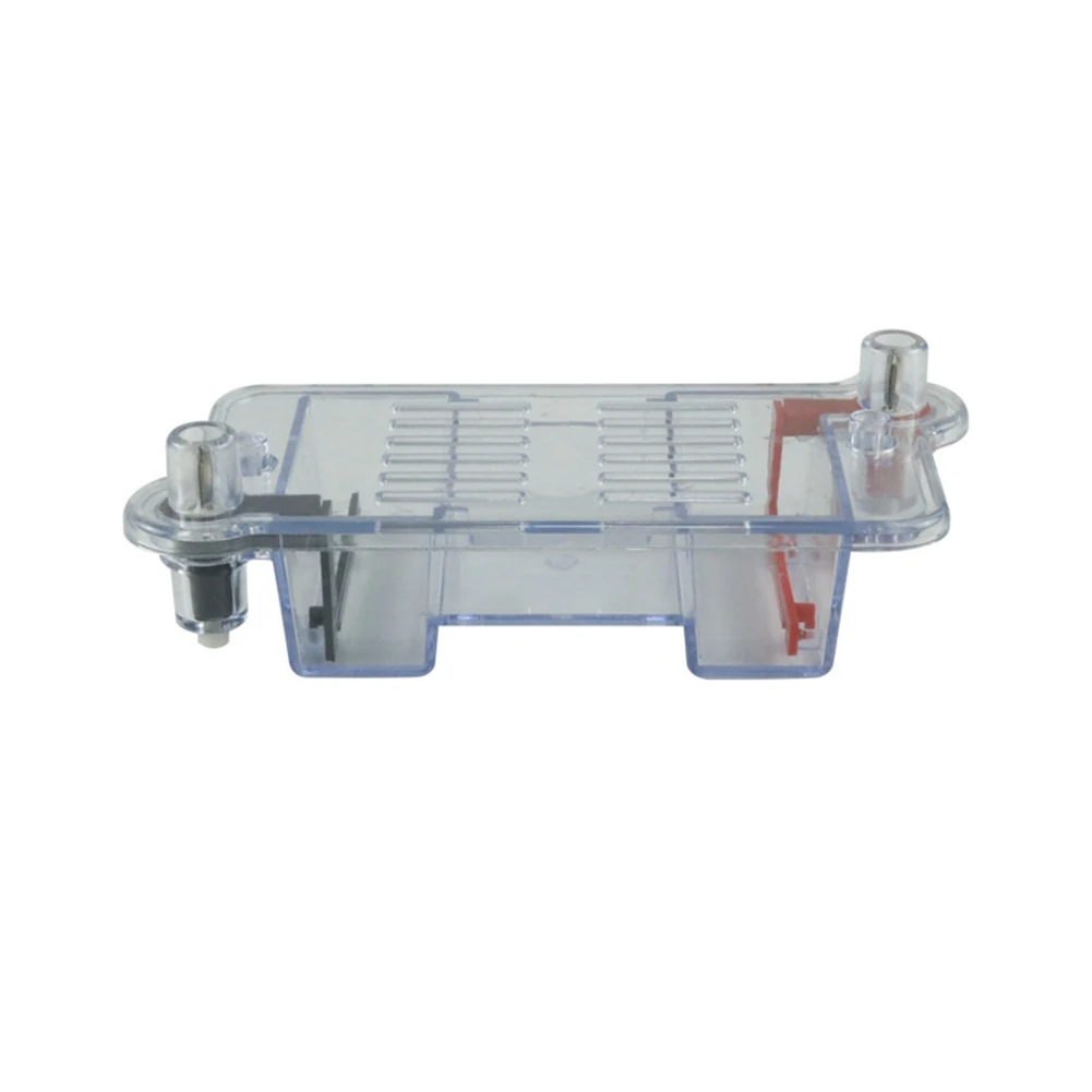 

Horizontal Electrophoresis Tank Gel Experiment Biological Teaching Experimental Instrument Experimental Teaching Tool