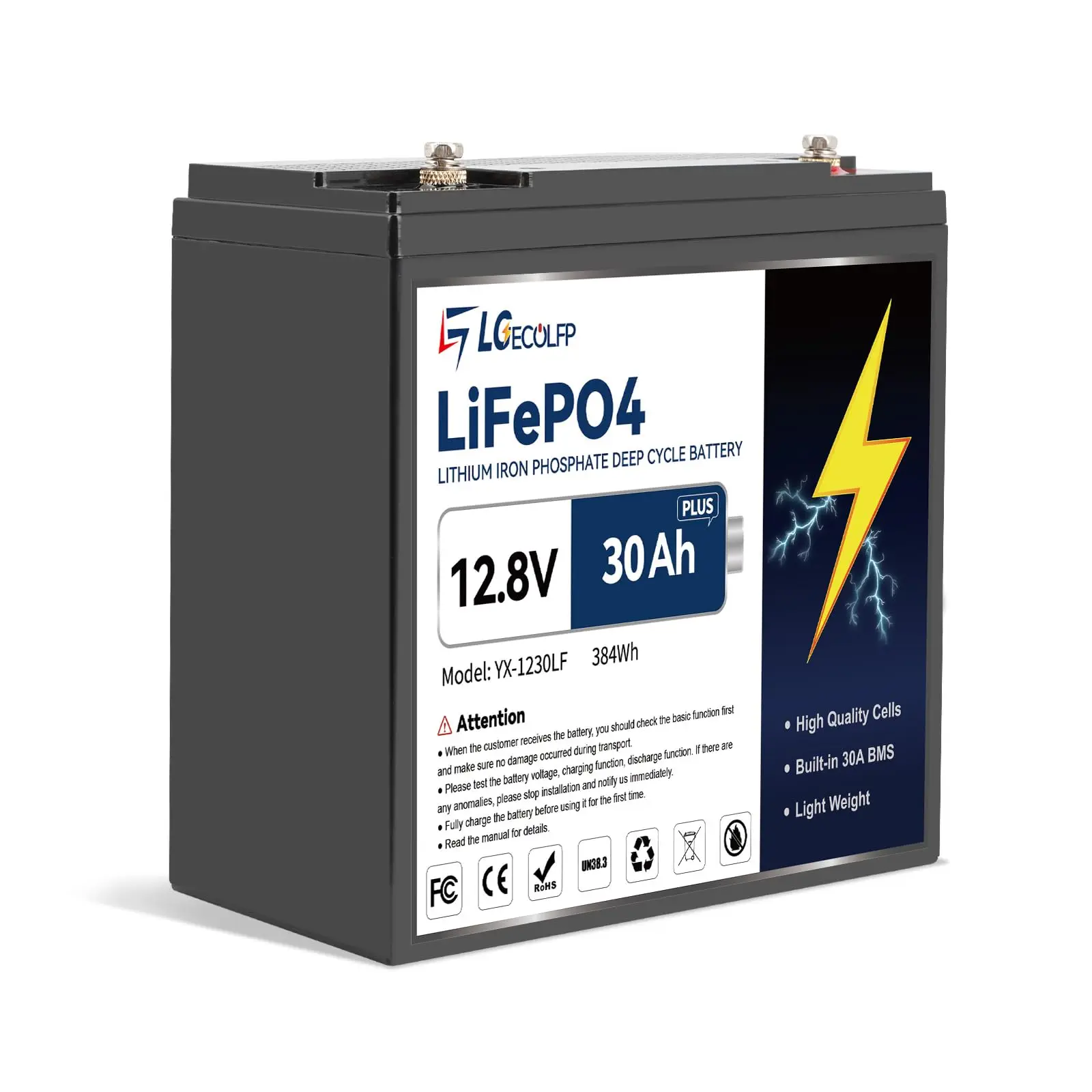 12 V 30 Ah Lithium LiFe PO4 B attery,Built-in 30A BMS