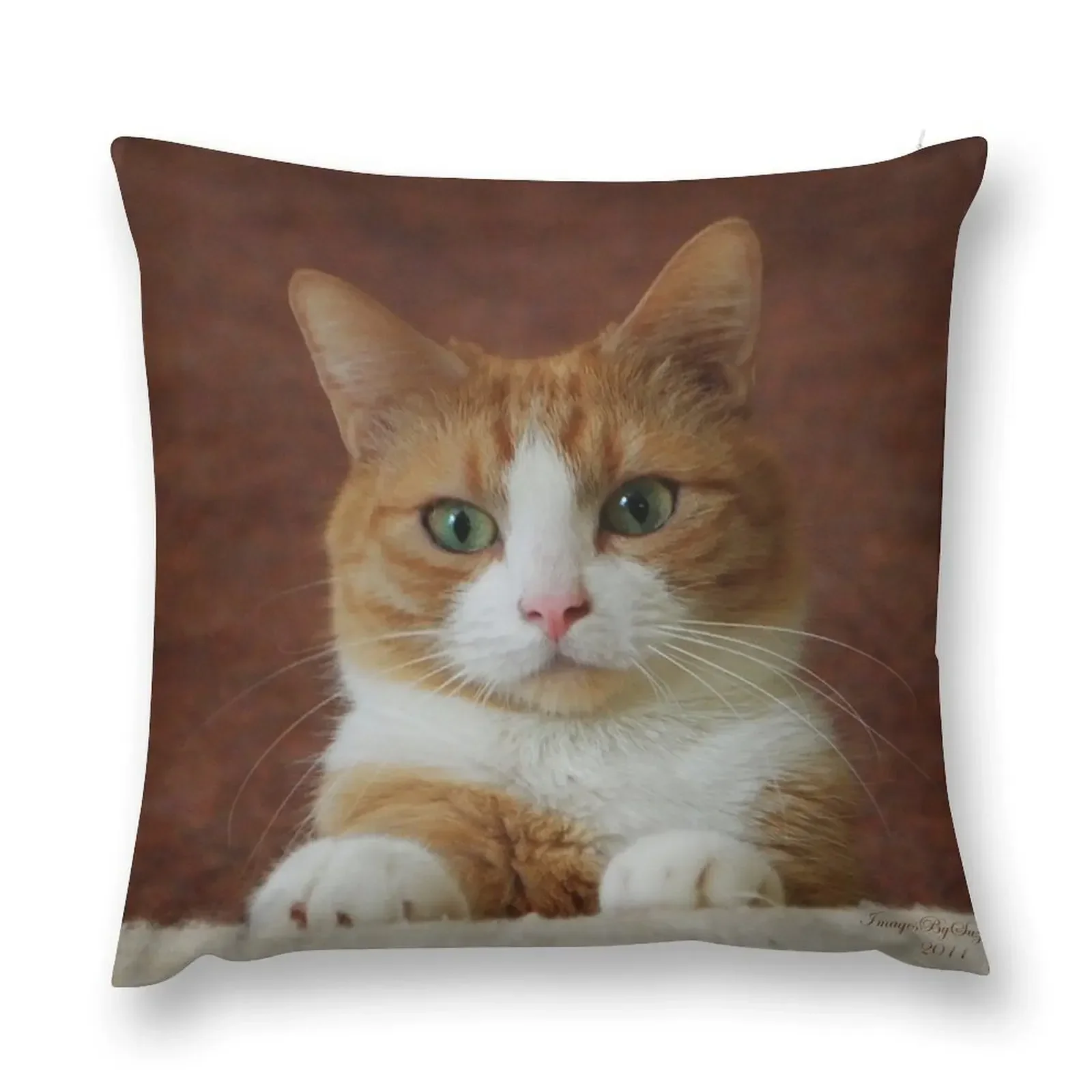 

Sassy Throw Pillow Cushions For Sofa Decorative Cover For Living Room pillow