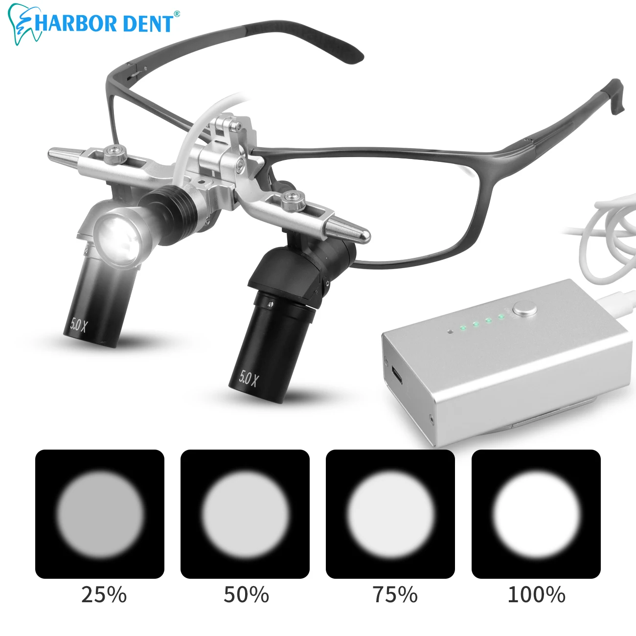 4X/5X/6X Dental 48° Ergo Loupes Working Distance 350-450mm Surgical Head Mounted Loupes with 5W LED Headlamp