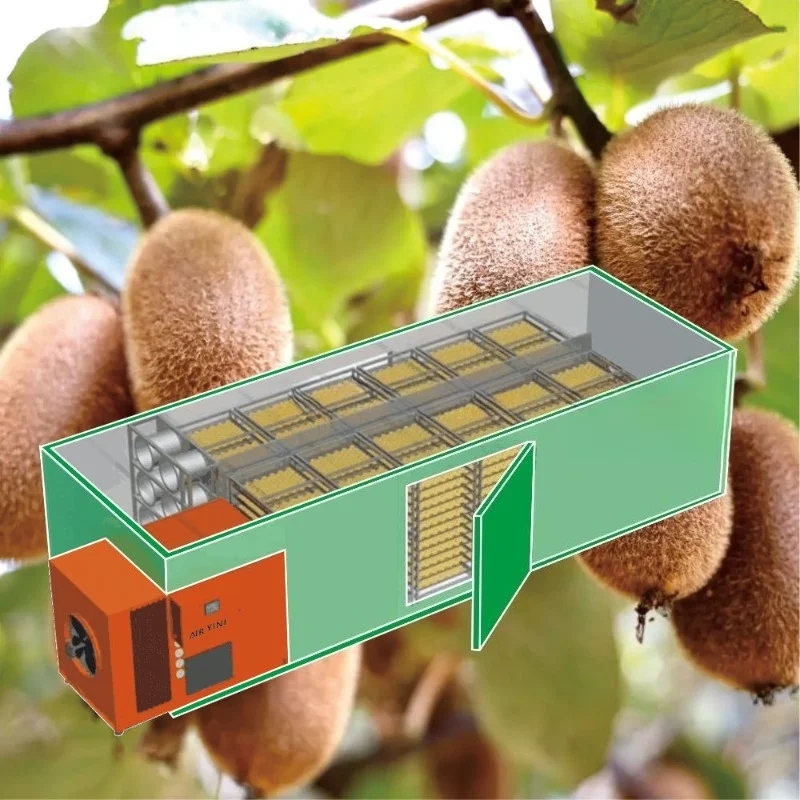 Mushroom hot air drying equipment Fruit and vegetable dryer Meat dehydrator Seafood fish dehumidifier Industrial drying oven