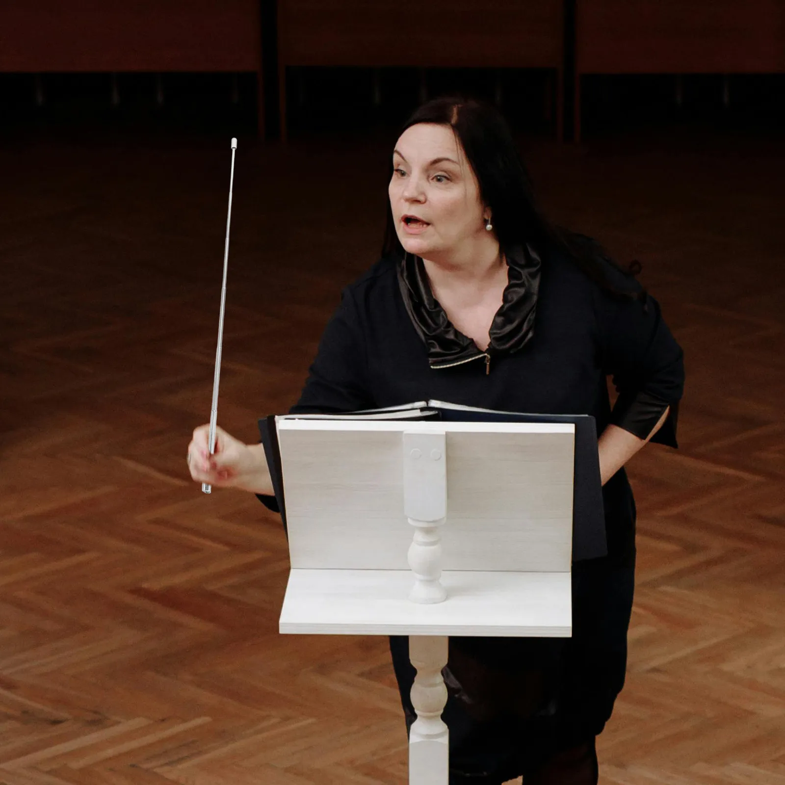 

Stainless Steel Retractable Lightweight Conducting Stick Portable for Orchestra Conductors Music Performance Concert