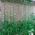 180x180cm