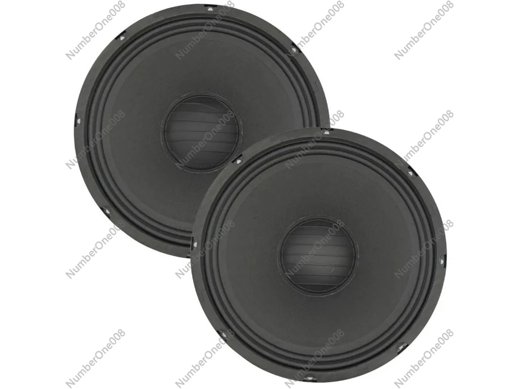 12 Inch Speaker Pai…