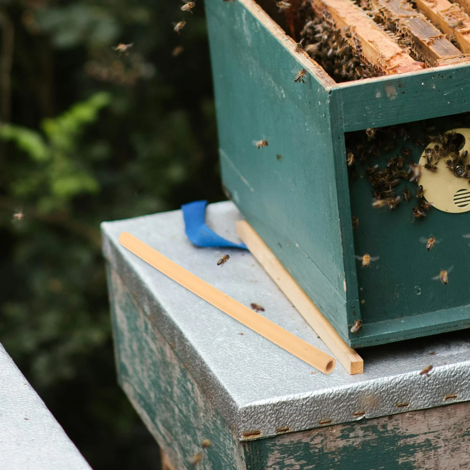

10Pcs Natural Bee Tubes Durable Compact Easy Carry Operate DIY Honeycomb Beehive Garden Balcony Courtyard Bees Tubes