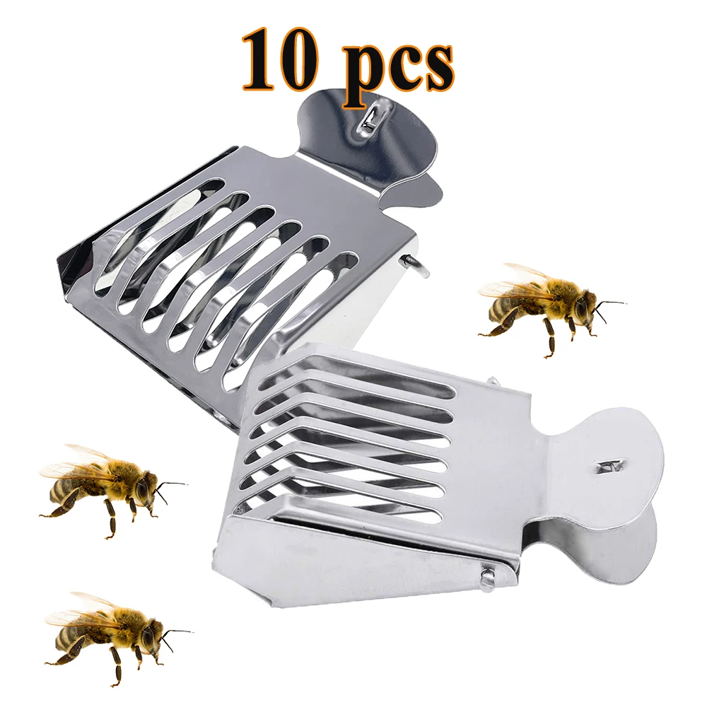 Bees Equipment Stainless Steel Bee Clip Hairclip Style Queen Catcher Capture Raising Apicultura Material Supplies 10PCS