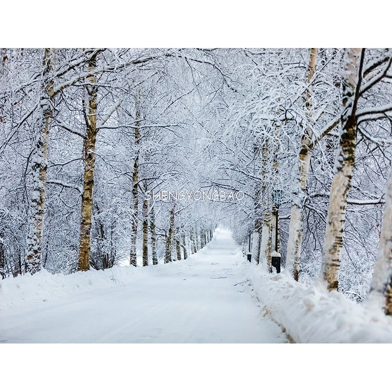 Winterbos Sneeuwbedekte Weg Fotografie Achtergronden Wazig Landschap Sneeuwvlokken Weg Sparren Bomen Foto Achtergrond XD-05