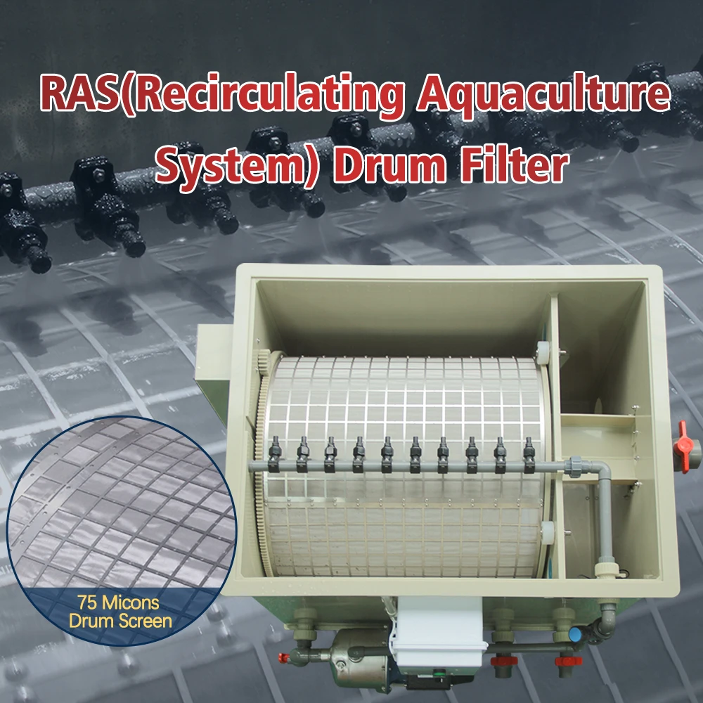 Cowater 150 M3/hr Rotary Drum Filter with Food Grade PP & SS316L 70 Micron Filtration for Aquaculture