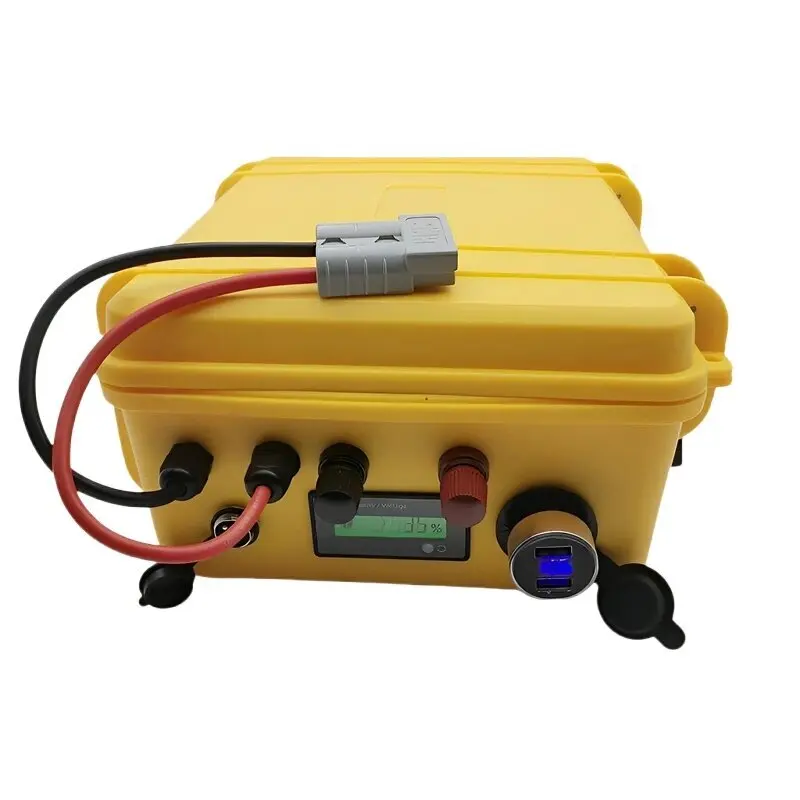 12V LiFePO4 Battery 14.6V 120Ah, 100Ah, 80Ah 12V Lithium Iron Phosphate Battery Pack with 10A Charger