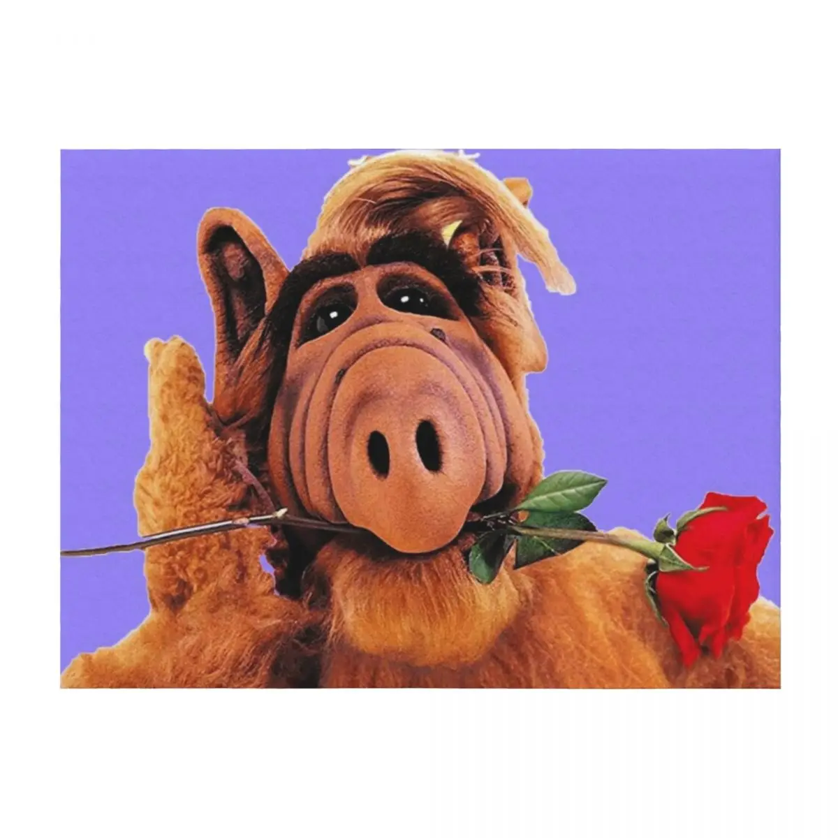 

Alf Throw Blanket Hairy Designers Retros Heavy Blankets