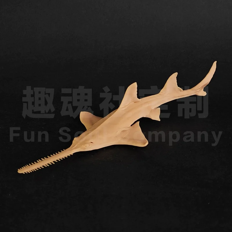 

1/35 15.7cm Pristis perotteti Model Toys Ancient Prehistroy Animal Model Gk Customize 3D Printing