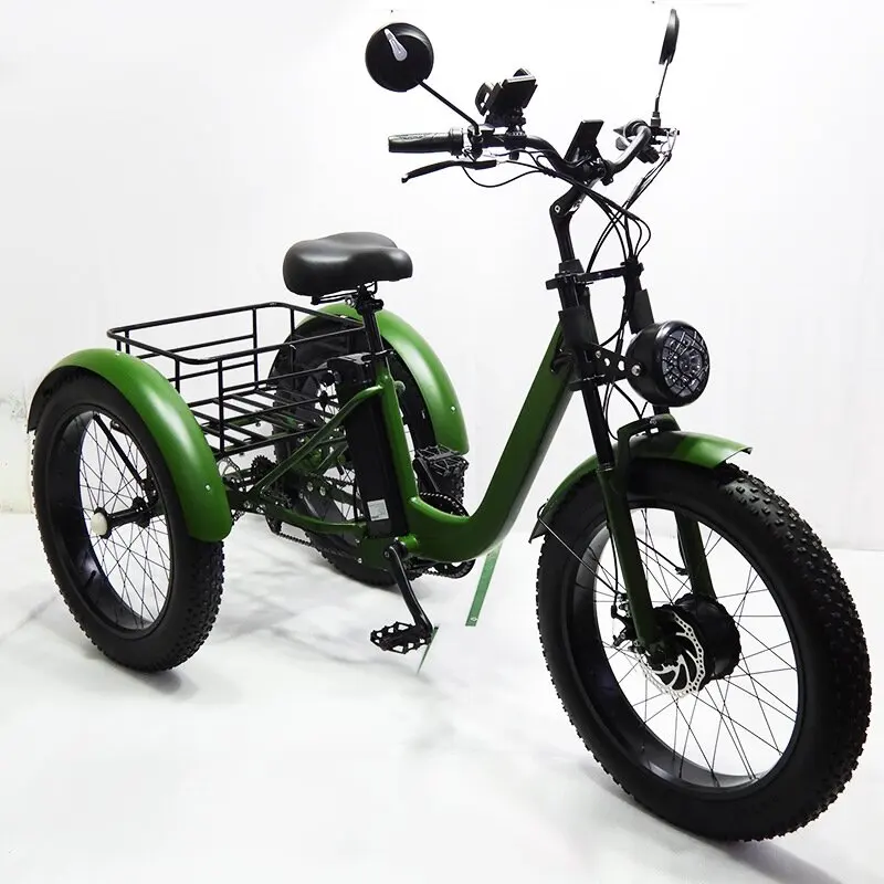 

3 Wheel Electric Bike For Adults 24 Inch Fat Electric Bike 750W 15AH Powerful Snow Mountain Electric Bicycle with Cargo