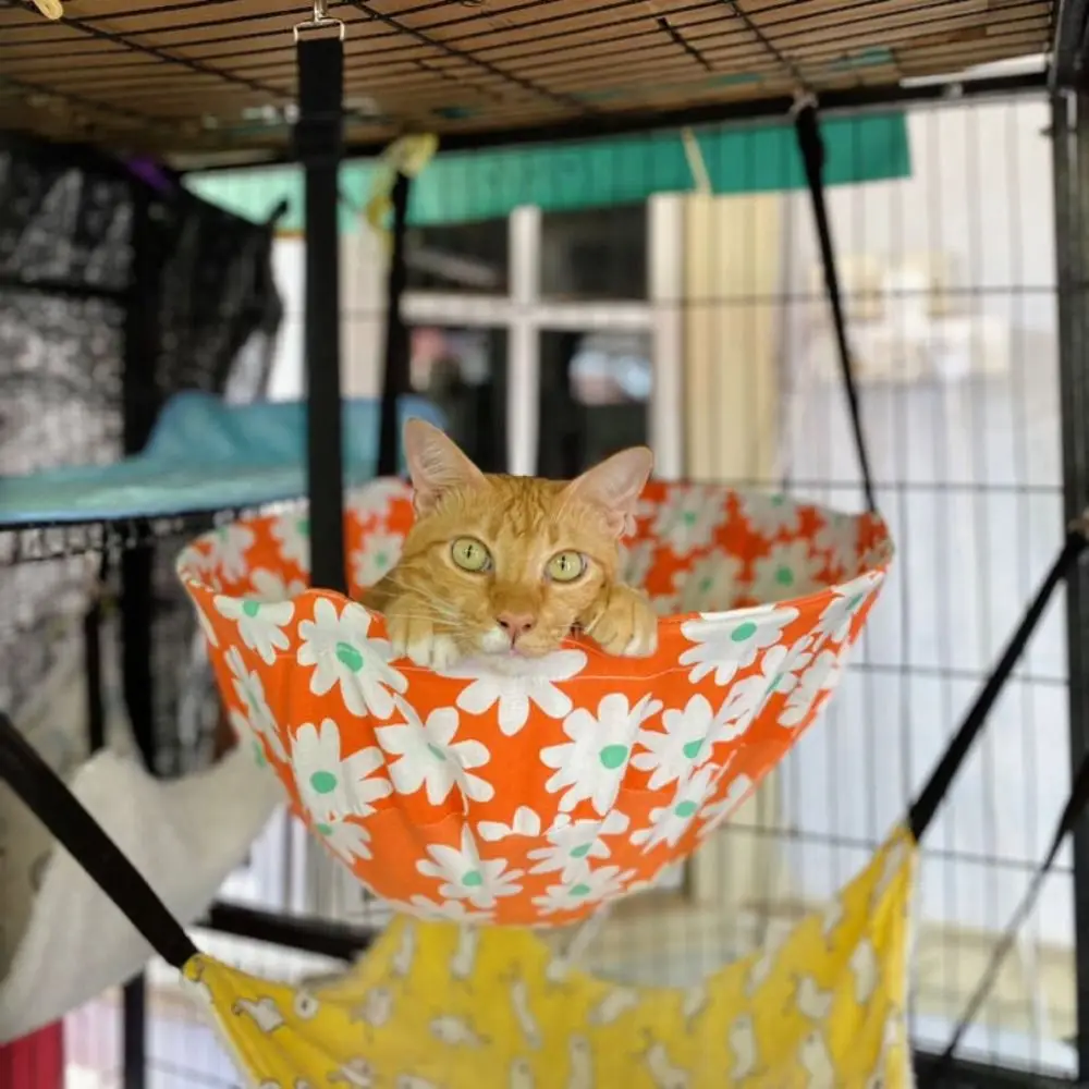 Amaca per gatti per tutte le stagioni in tessuto a prova di masticare Cinghie regolabili Letto sospeso montato su gabbia in velluto invernale Materiale resistente all'usura