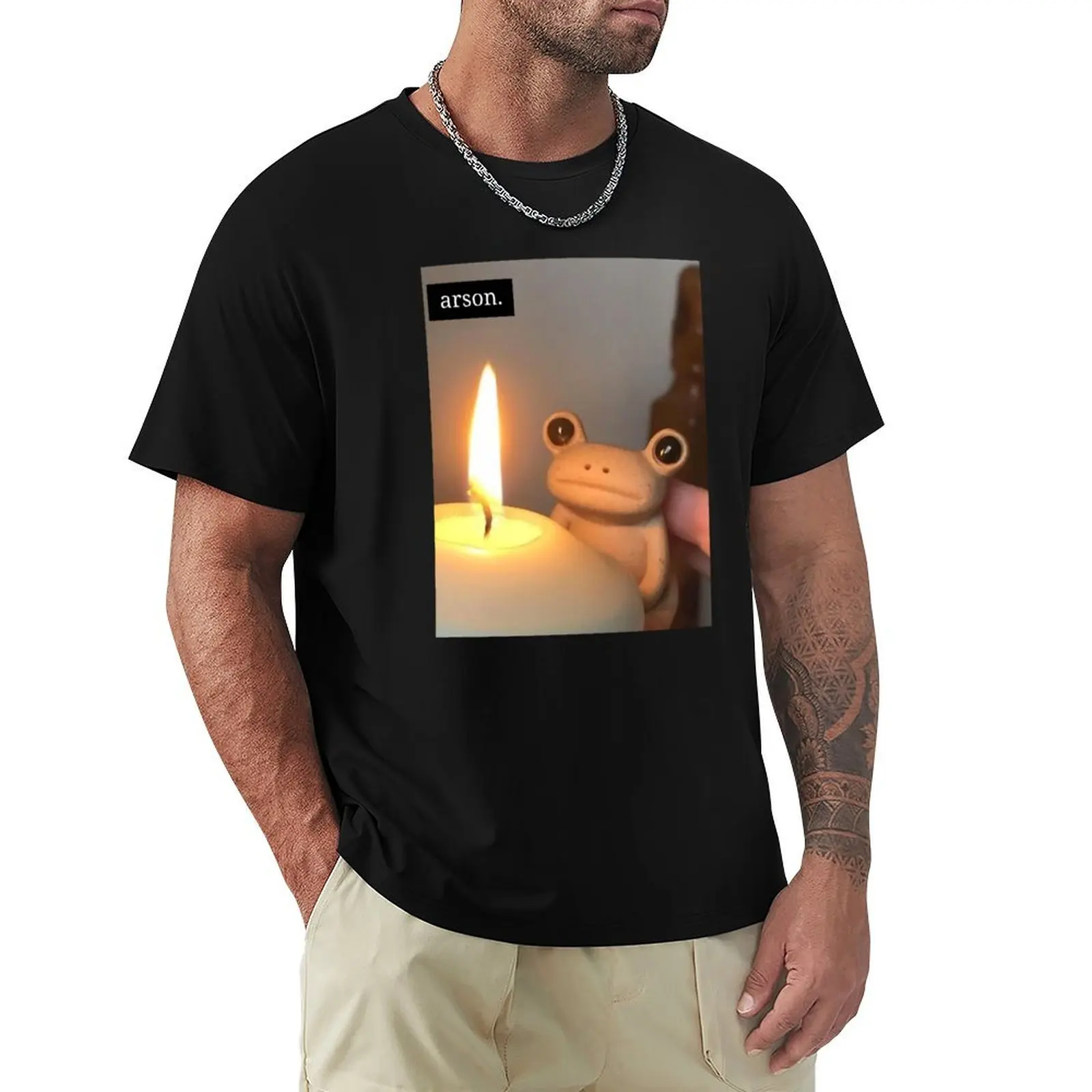 HQ Arson Evil Sad Frog Meme T-Shirt Holiday Simple Tee Shirt