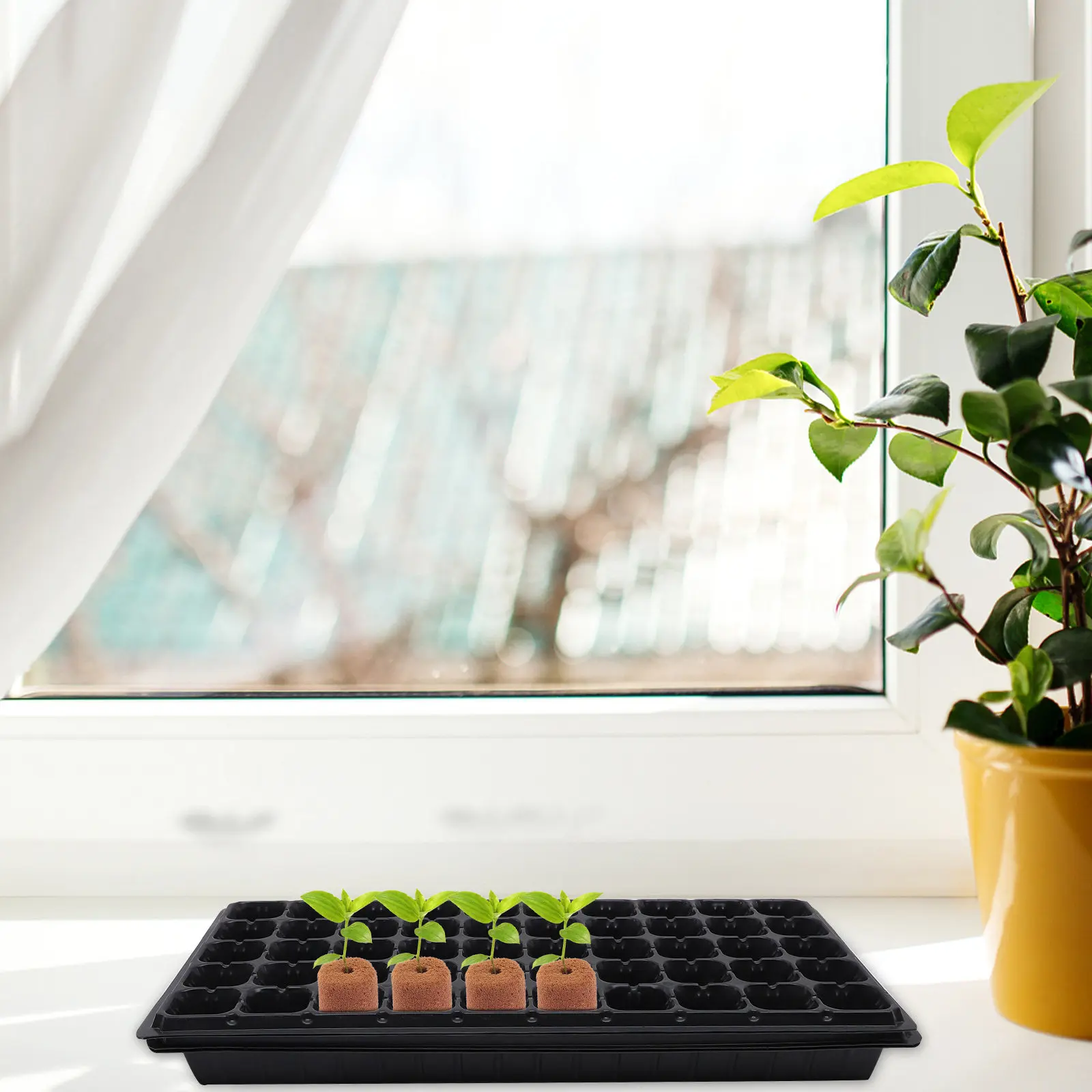 100 pcs Soil Plant Gardening Soilless Cultivation Hydroponic Halloween Christmas New Year Nursery Blocks Professional Peat-based