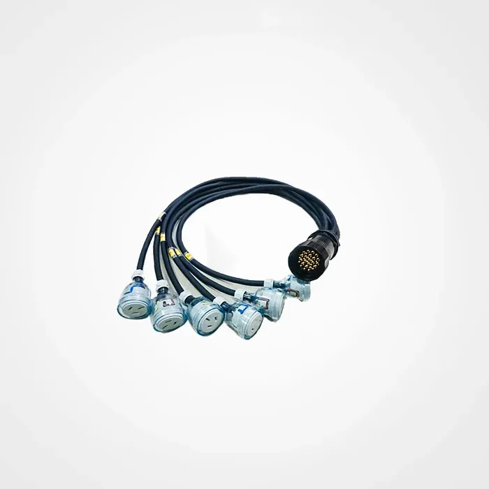 Lighting Supply Cable with And Australia Plugs