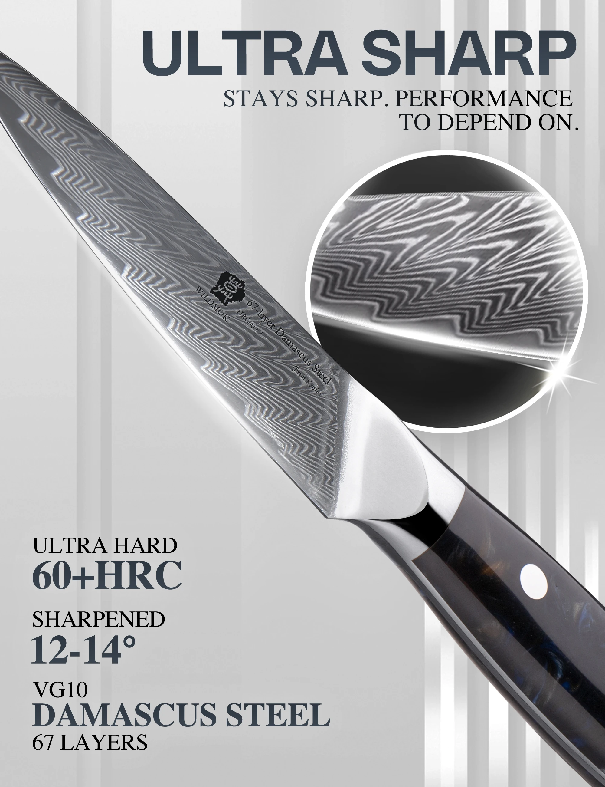 WILDMOK 3.5 Inch 67-Layer Japanese Damascus Paring Knife, Ultra Sharp Fruit Knife with Resin Handle for Kitchen Peeling