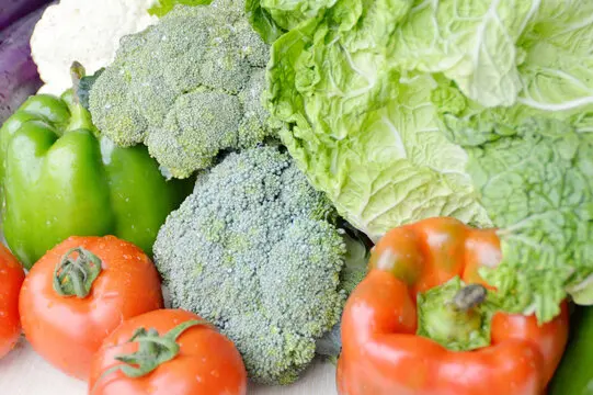 4Pcs Metall Vorne Und Hinten Stoßdämpfer 130mm Für Losi LMT 4WD Solide Achse Monster Truck 1/8 RC auto Upgrade Teile