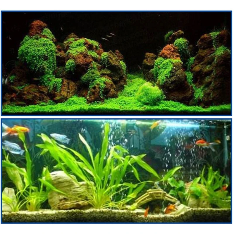 25pcs Aquarium for Landscaping Plants- Grass Adhesive Coral Instant-Glue Fish Tanks Accessories New