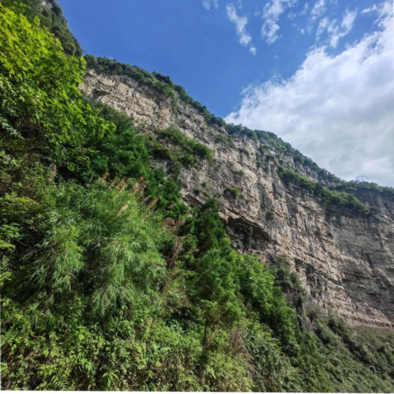 HolyBro 2216 920KV 브러시리스 모터 CW CCW S500 V2 키트 멀티로터 DIY 부품 교체용