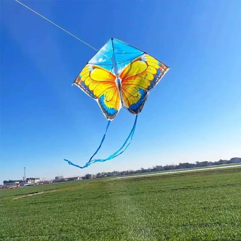 Free Shipping butterfly Kite flying for kids ripstop nylon fabric steering kite Car trestles power kite Flying bird gell blaster