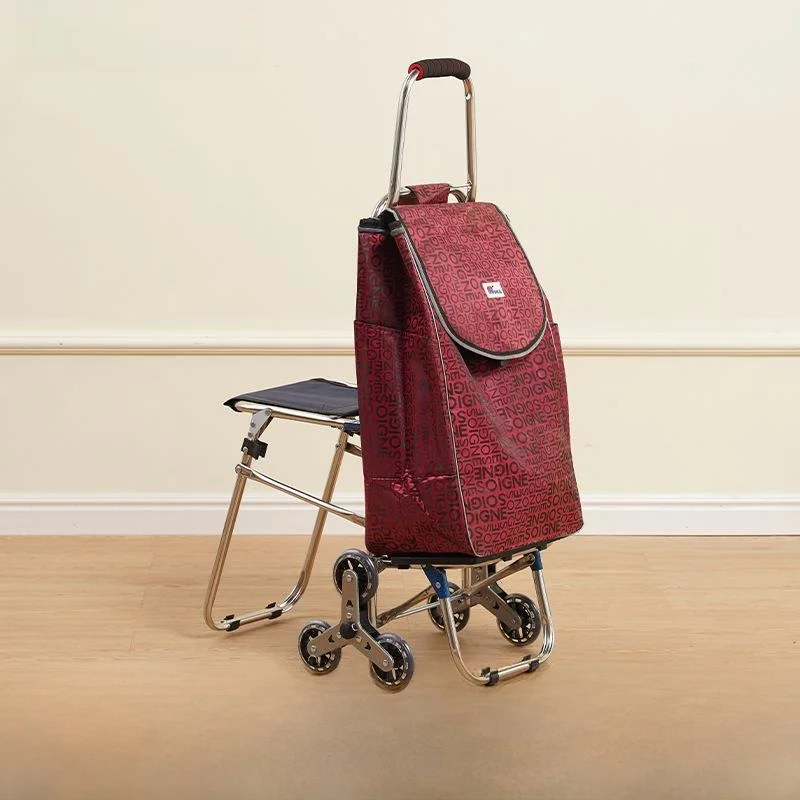 carrello-pieghevole-portatile-in-acciaio-inossidabile-per-la-spesa-carrello-per-anziani-con-sedile-per-acquistare-verdure-carrello-semplice-da-tirare-a-mano