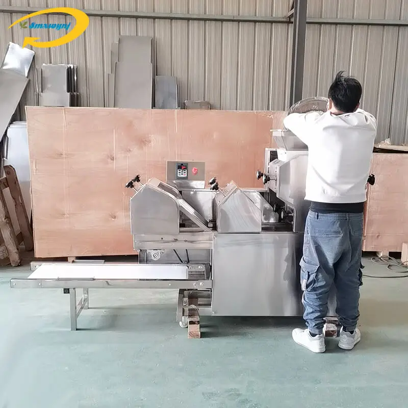 ماكينة صنع المكرونة عالية الجودة مع ماكينة صنع المكرونة الباردة Mt5 250 Mt6 260 ماكينة صنع المكرونة #2