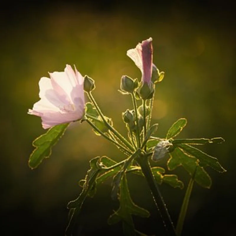 

Металлический сервопривод 284131 для WLtoys 284131 284010 284161, сменный аксессуар, детали для модификации модели радиоуправляемого автомобиля, сервопривод