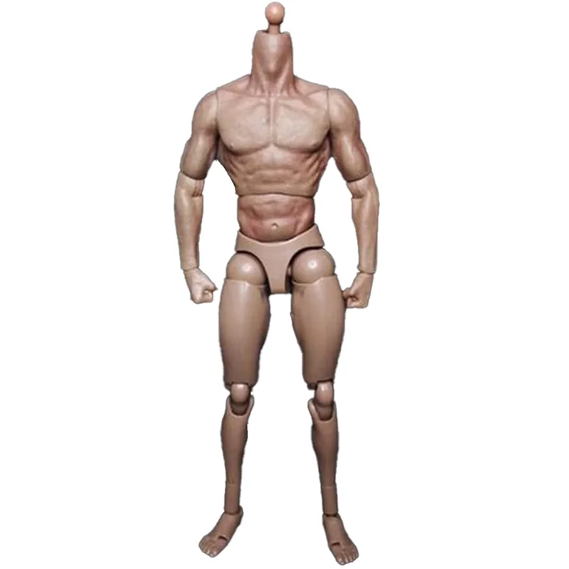 1/6 Scale Narrow Shoulder Male Body Doll Action Figure for TTM18 TTM19 Hot Toys & Human Body Sketch Model