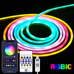 DC5V USB RGBIC Neon LED Strip,1M 2M 3M 5M RGBIC Neon Rope Light with Bluetooth App and Remote control For DIY Neon Gaming Deoco