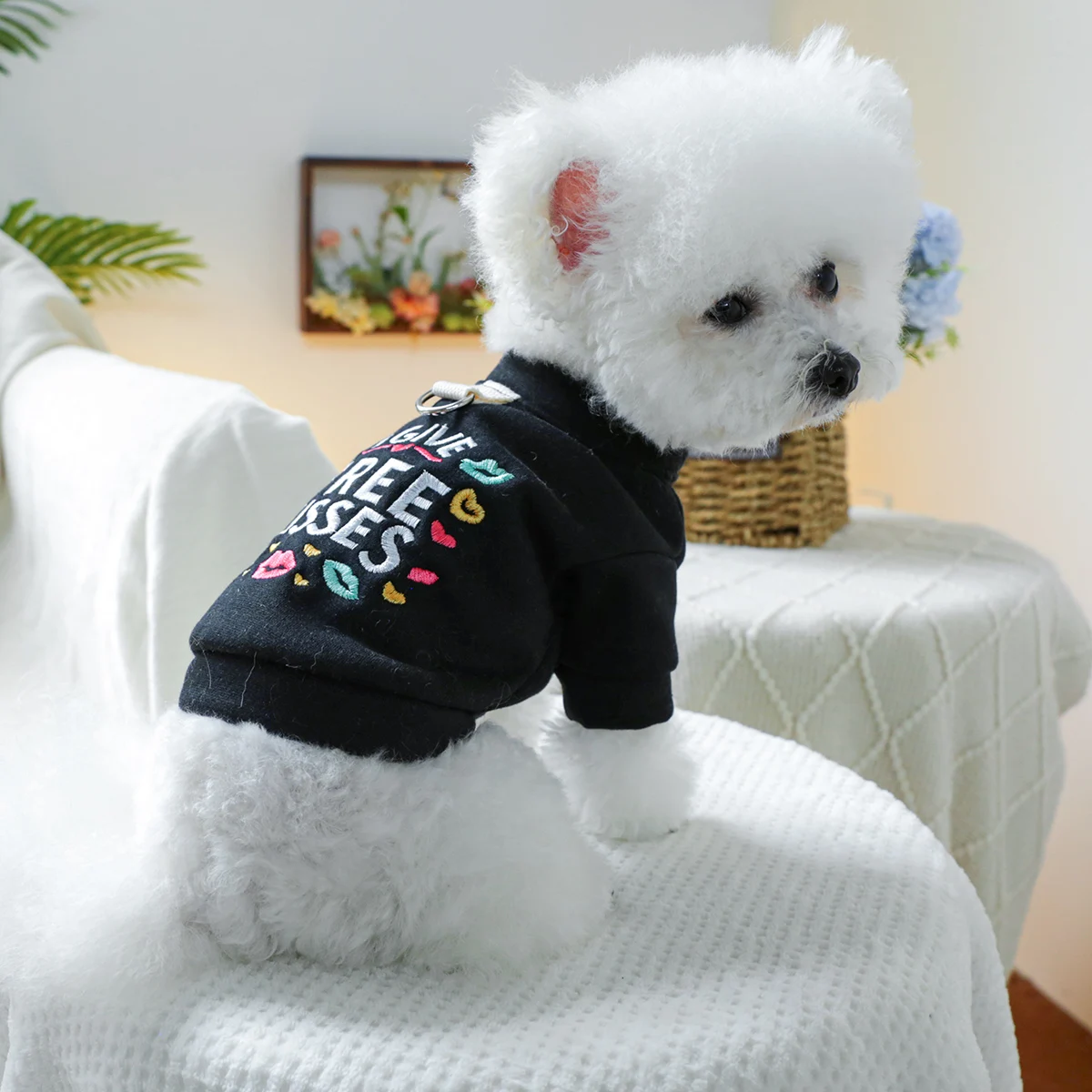 1PC Pet Clothing Spring and Autumn Black Kiss Coat Suitable for Small and Medium sized Dogs