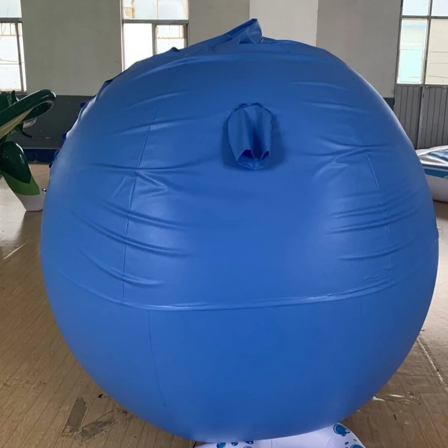 Inflatable Balloon Set Blueberry Inflatable Set