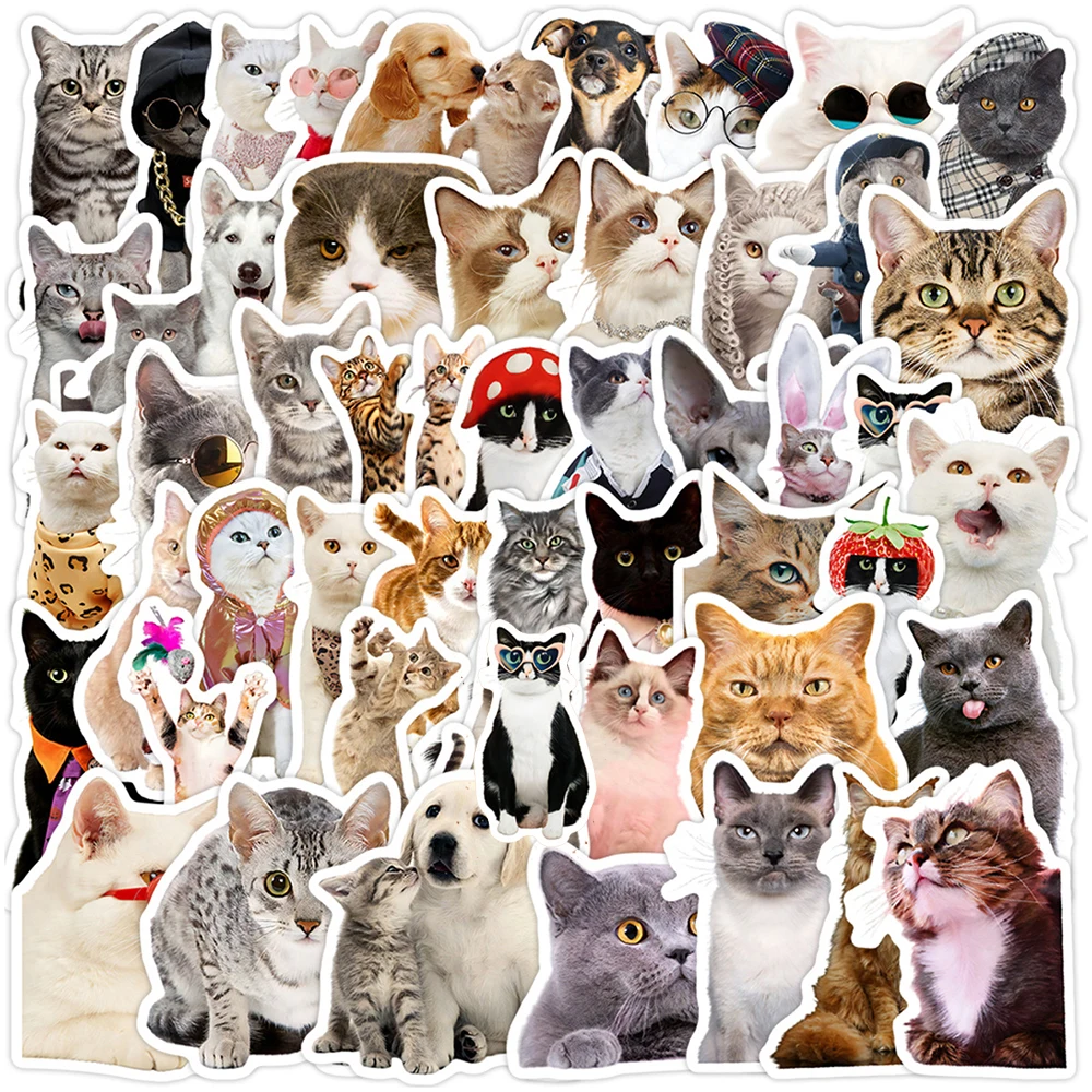 

10/30/50pcs Cartoon Cat MEME Graffiti Stickers Cute Animal Decals for Scrapbook Guitar Laptop Car Funny Sticker Kid Classic Toys