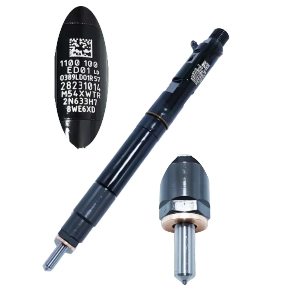 

1100100-ED01 DIESEL INJECTOR ASSY 28231014 for DELPHI Great Wall Hover V200 X200 H5 H6 Gw4d20 2.0T Motor